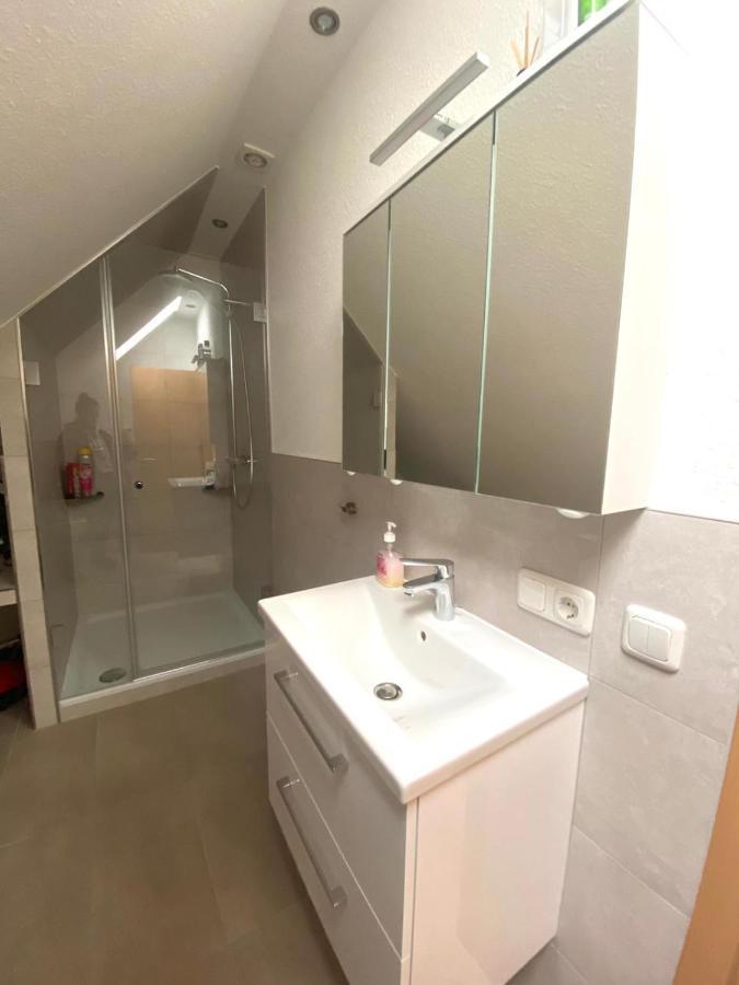 Apartment Ferienwohnung Rheinblick Mainz