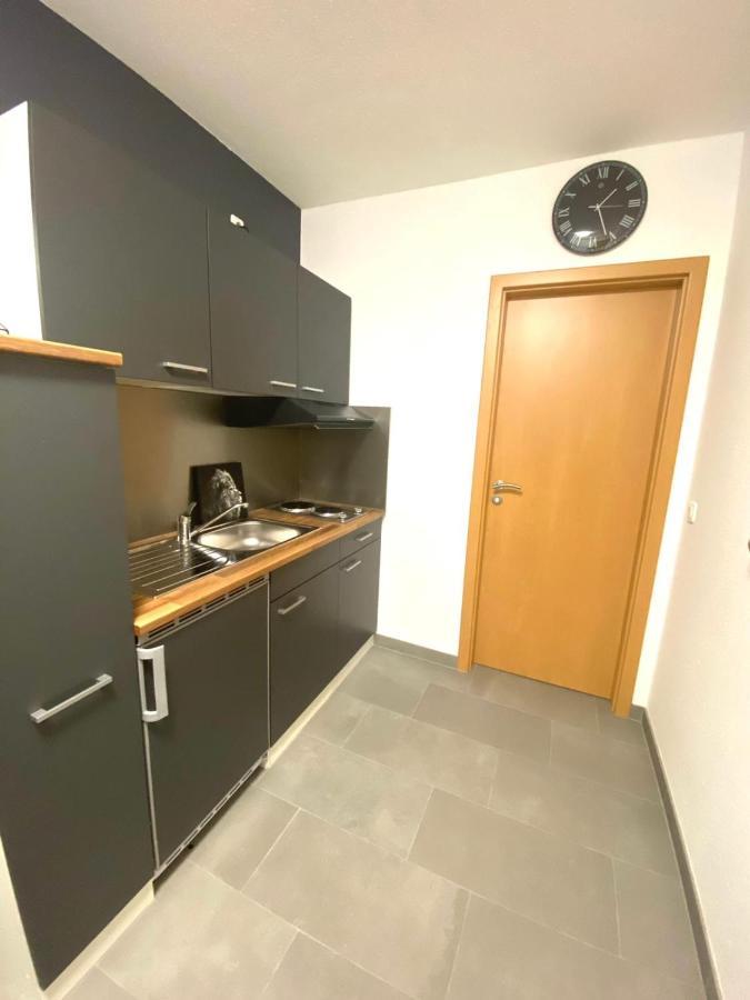 Apartment Ferienwohnung Rheinblick Mainz